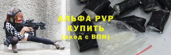 шишки Богородск