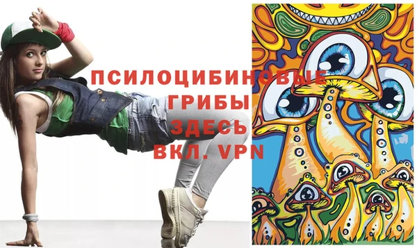 шишки Богородск