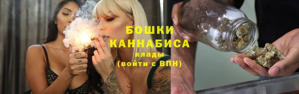 шишки Богородск