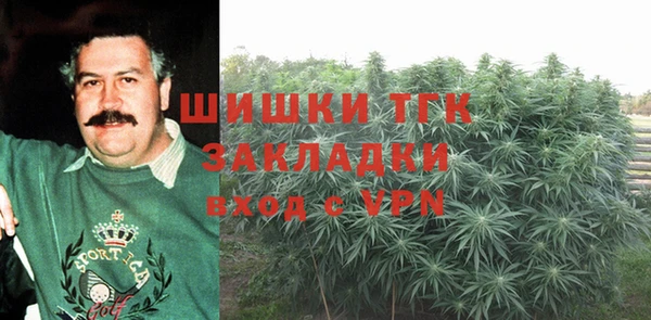 mdma Богородицк