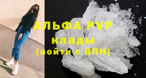 шишки Богородск