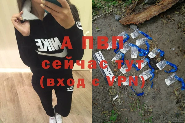 трава Богданович