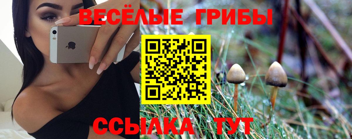 где купить наркоту  Вход с VPN  Наро-Фоминск  Псилоцибиновые грибы Cubensis 